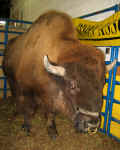 2007 Pennsylvania Farm Show