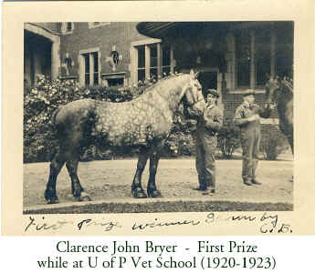 clarence_bryer_horse_1920s.jpg (214421 bytes)