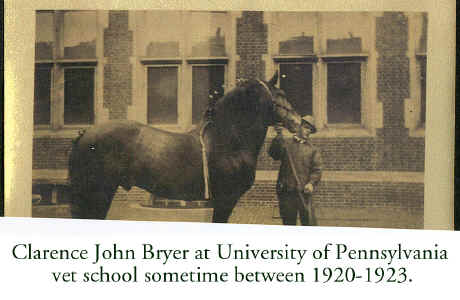 clarence_john_bryer_horse_early_1920s.jpg (587666 bytes)